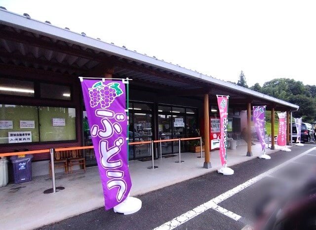 二井観光ぶどう園【山陽小野田市】ソフトクリームが人気!!ぶどう狩りもおすすめ