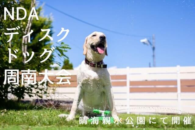 【周南イベント】NDAディスクドッグ周南大会・ワンちゃんのファイトと飼い主との絆に感動!!