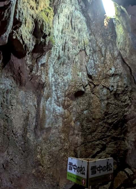 大正洞内の見どころ「雪中の松」