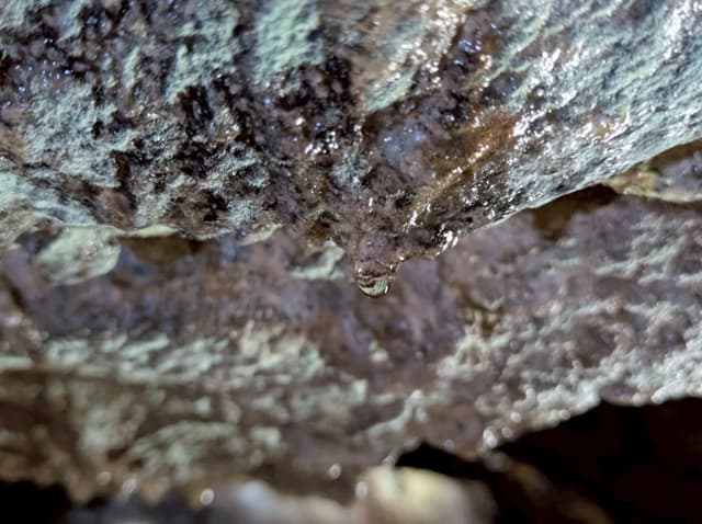 大正洞内の天井から水滴が落ちる様子