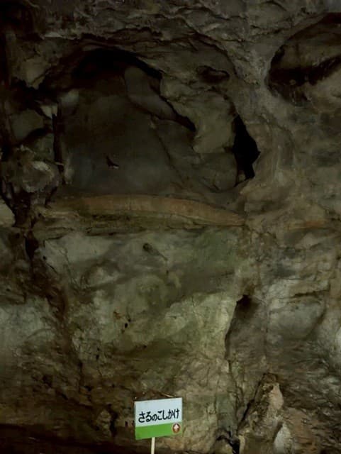 大正洞内の見どころ「さるのこしかけ」