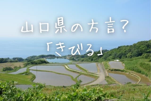 方言「きびる」は山口だけじゃない!!九州・四国・広島での意味と使い方をご紹介