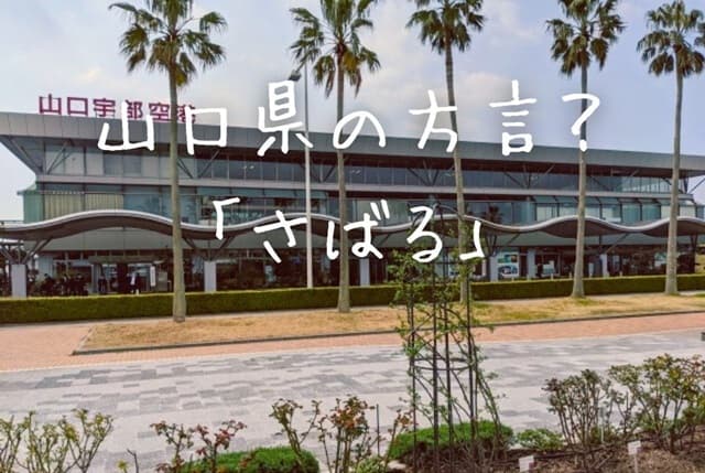 「さばる」は山口の方言？島根や岡山でも使われる？地域別の使い方、意味を紹介