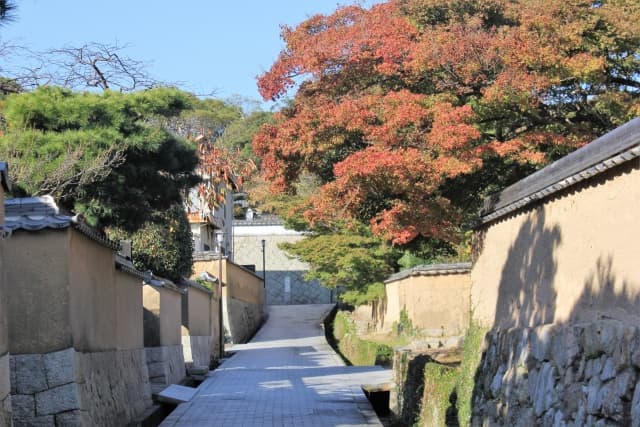 長門国は現在の山口県のどこ？読み方や歴史、成り立ちを調査